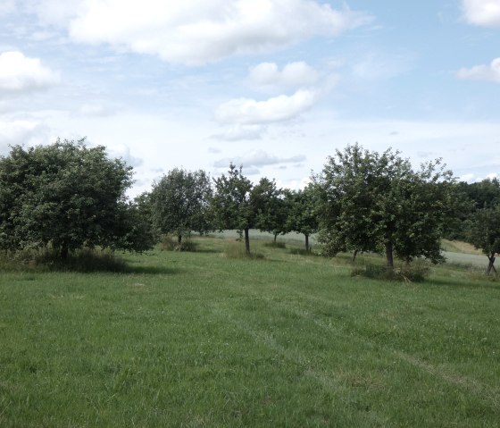 Grüne Wiese mit verstreuten Obstbäumen, blauer Himmel mit Wolken. Idyllische Landschaft im Kallenbachtal., © Tourist-Information Bitburger Land, Melanie Salzburger