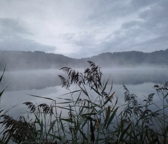 Meerfelder Maar im Nebel, © Gesundland Vulkaneifel GmbH