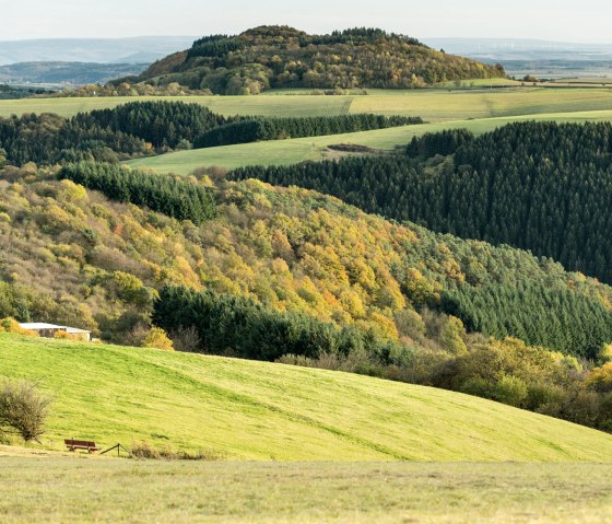 Vue sur le Mosenberg volcanique sur le sentier VulkaMaar, © Eifel Tourismus GmbH - D. Ketz