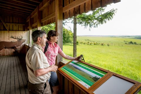 Deux personnes se tiennent sur une plateforme d'observation et regardent un vaste paysage vert. Devant elles se trouve un panneau d'information avec une description de l'environnement.