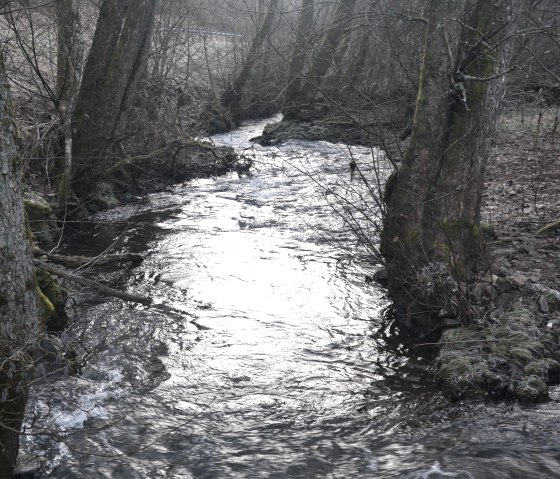 winterse impressies