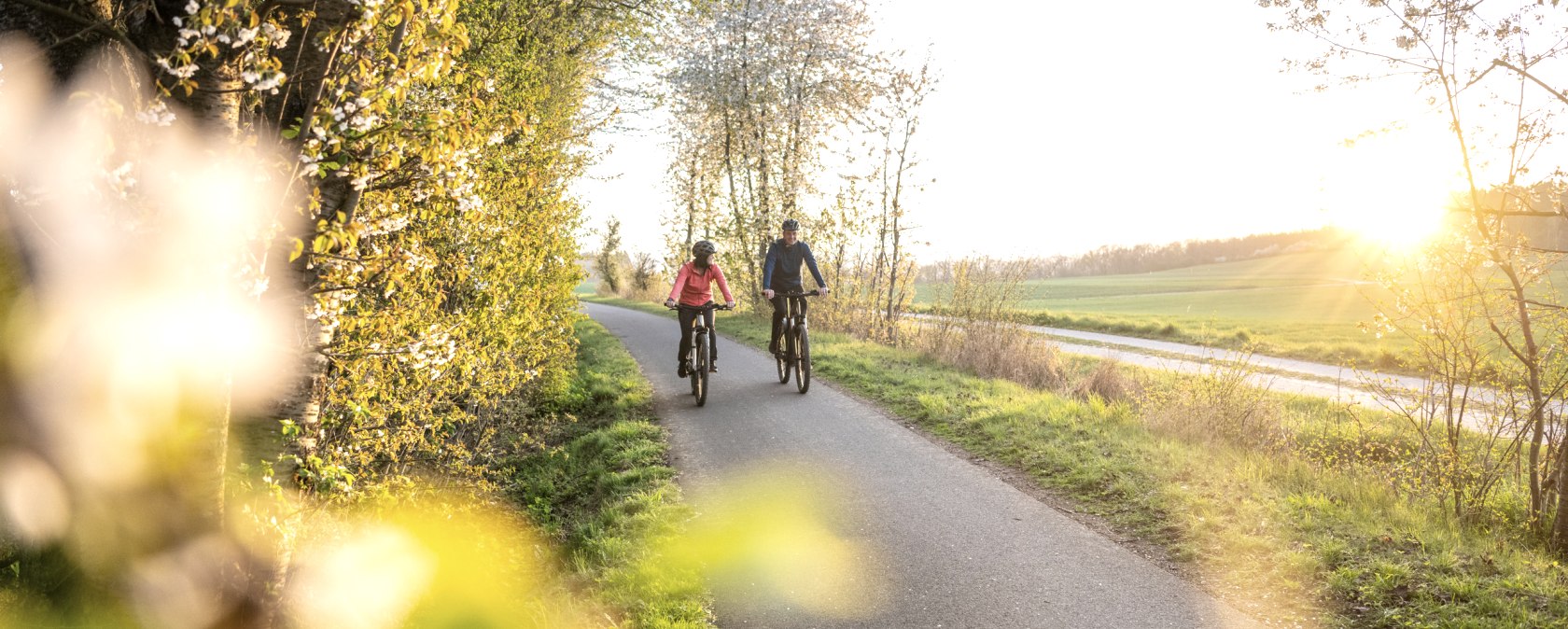 Piste cyclable du Maifeld près d'Ochtendung, © TI Maifeld, Dominik Ketz