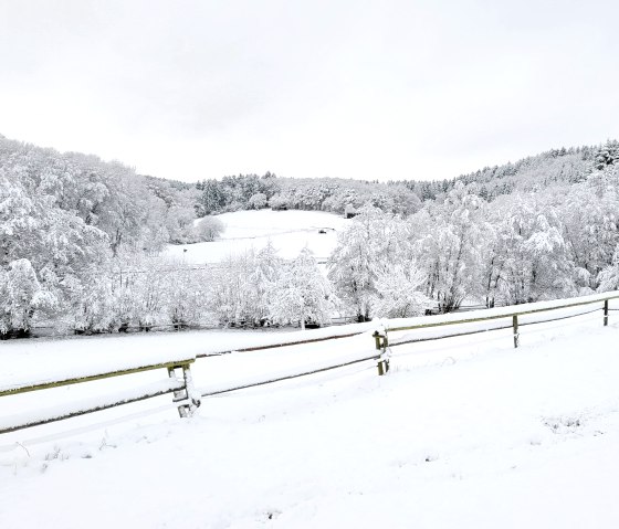 Winter in der Vulkaneifel