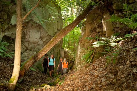 Gruppe von Wanderern in einem bewaldeten, felsigen Gebiet.