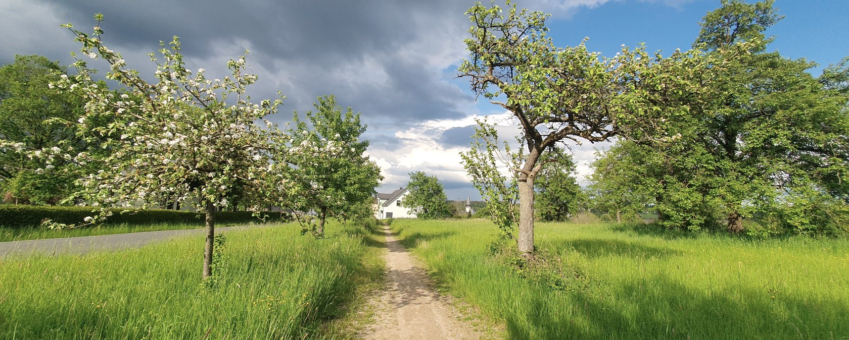 Comfort wandelroute Zemmer 4, © RLP