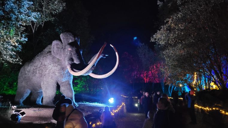 Une impressionnante sculpture de mammouth se tient au centre de l'image, entourée d'un éclairage festif et de personnes. La scène est illuminée la nuit par des lumières colorées, ce qui crée une atmosphère magique.