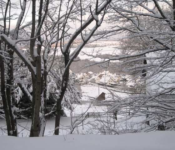 Winter view 1