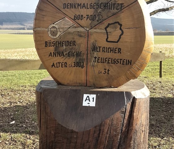 Informatiebord bij de Dicken Eiche, © Tourist Information Wittlich Stadt & Land