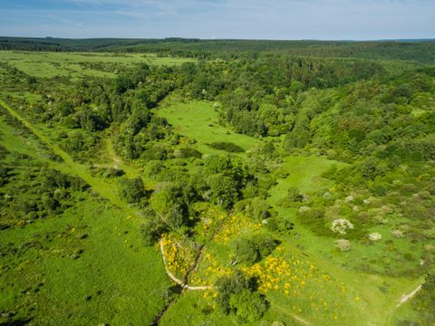 Eine grüne Landschaft mit Wiesen und Bäumen, durchzogen von einem kleinen Fluss. Der Himmel ist blau und es gibt einige Wolken.