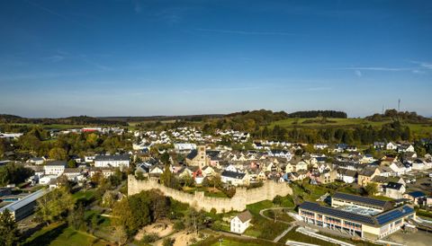 A picturesque town with a historic city wall and many houses. The surroundings are green and wooded, under a clear blue sky.