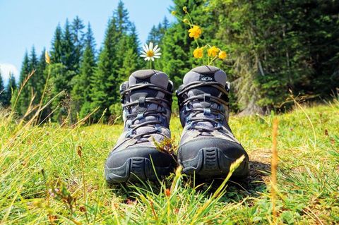 Ein Paar Wanderschuhe steht auf einer grünen Wiese, umgeben von bunten Blumen. Im Hintergrund sieht man hohe Bäume und einen klaren blauen Himmel.