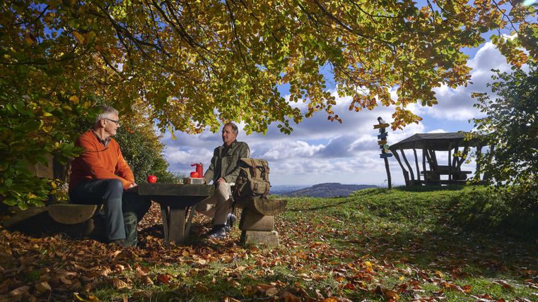 Two people are sitting under a tree and enjoying the view. Around them, colorful autumn leaves and a tranquil landscape can be seen.