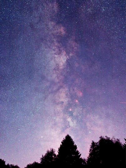 Un ciel nocturne époustouflant avec des étoiles brillantes et la Voie lactée. Des silhouettes sombres d'arbres sont visibles au premier plan.