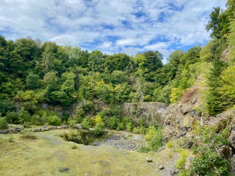 View into a green quarry with trees and rocks.
