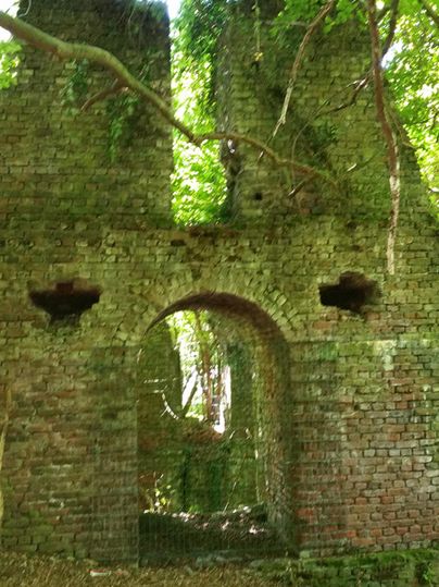 An old brick ruin in the forest, overgrown with plants. The entrance is visible, surrounded by green leaves.