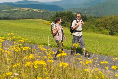 Two people are walking along a path through a green landscape with yellow flowers in the foreground.