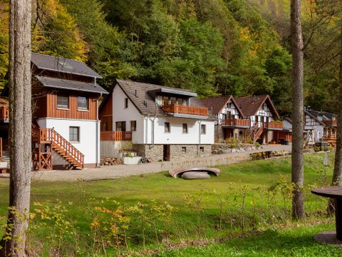 Une série de charmantes maisons de vacances dans un paysage verdoyant. À l'arrière-plan, des arbres et un environnement calme sont visibles.