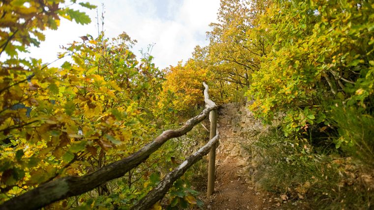 A narrow, stony path leads through autumn-colored trees, lined by a rustic wooden railing.