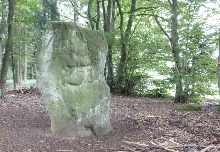 La pierre druidique près de Bollendorf, © Elke Wagner