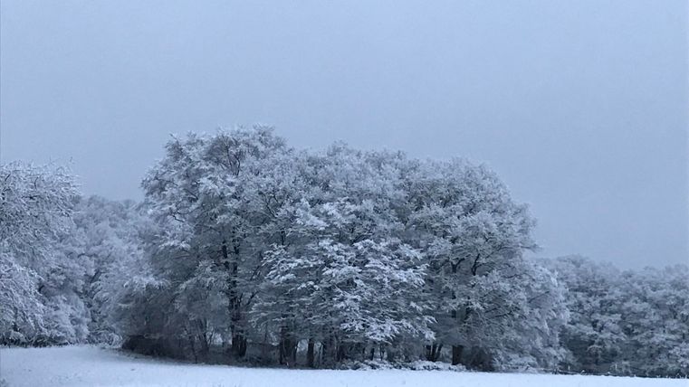 Hiver en Eifel