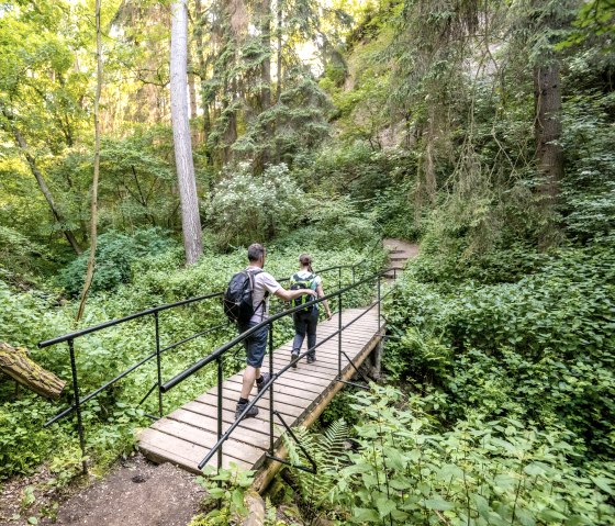 Hiking through the Wolfsschlucht gorge on the Traumpfad cave and gorge trail, © Eifel Tourismus GmbH, Dominik Ketz