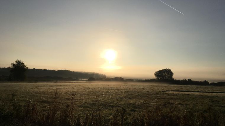 Un matin calme avec le soleil levant au-dessus d'un champ brumeux. Des collines douces et des arbres sont visibles en arrière-plan.