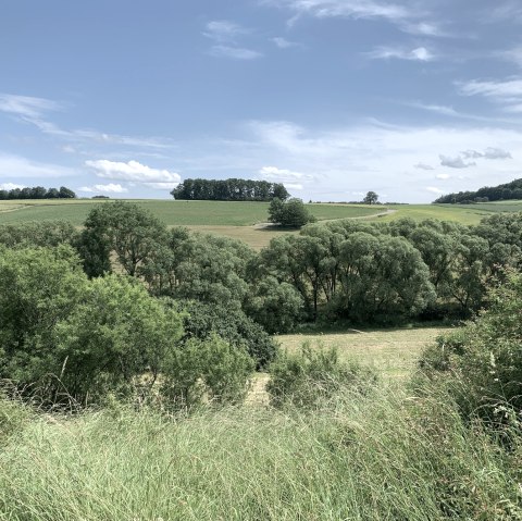 Grüne Felder und Bäume erstrecken sich unter einem blauen Himmel mit wenigen Wolken. Eine ruhige, ländliche Landschaft., © Benjamin Milbach
