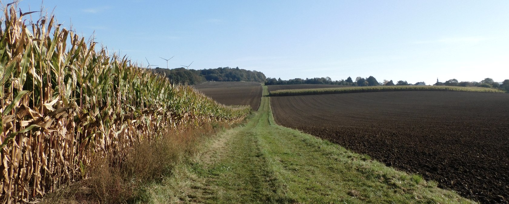 Trierweiler, © Deutsch Luxemburgische Tourist Info