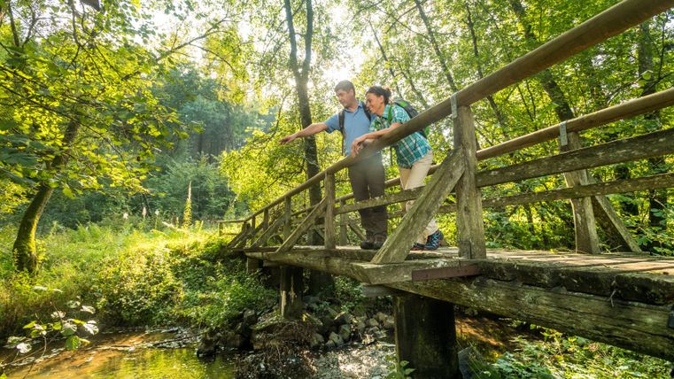 Twee mensen staan op een houten brug over een beekje in een bebost gebied.