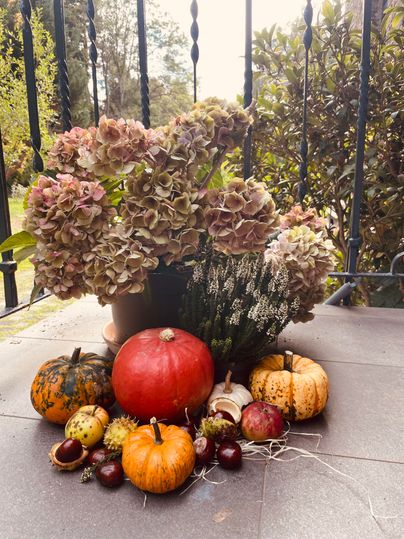 Un arrangement automnal avec des citrouilles colorées et des pommes châtaigne. À l'arrière-plan, des hortensias en fleurs dans un pot.
