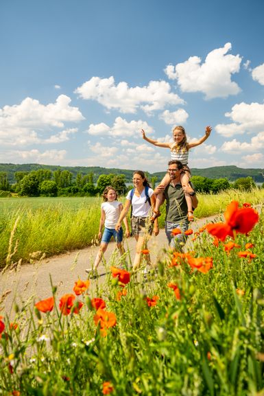 Eine Familie wandert entlang von Feldern und einer Blumenwiese