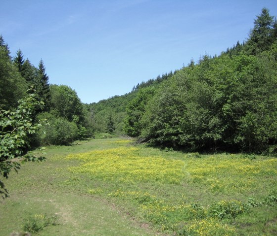 Eifelsteig : La vallée de la Salm sur la 13e étape, © Eifel Tourismus