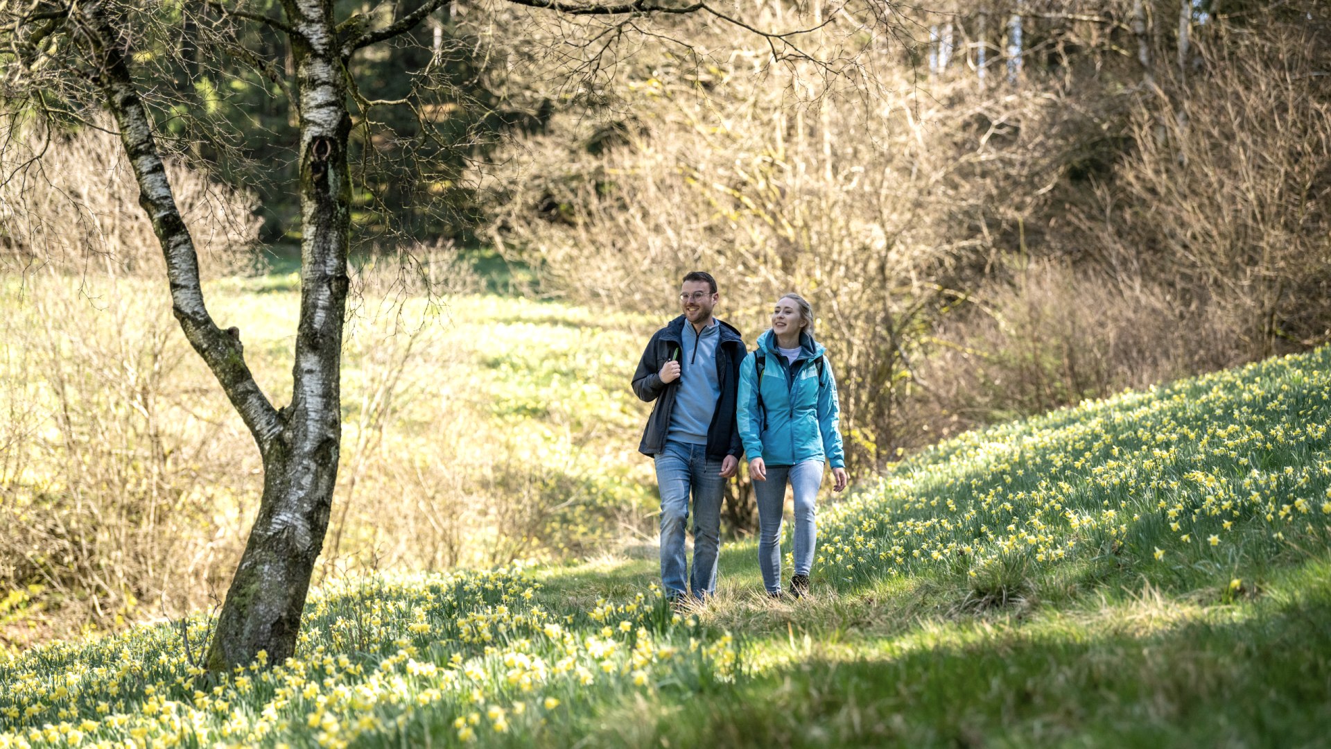 Wandern zu den Narzissen der Eifel, © Städteregion Aachen, Dominik Ketz