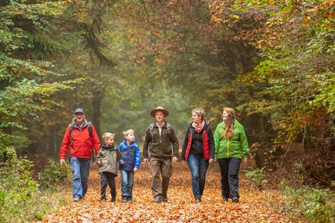 Eine Gruppe von fünf Personen spaziert auf einem herbstlichen Waldweg. Der Boden ist mit buntem Laub bedeckt und die Umgebung wirkt ruhig und einladend.