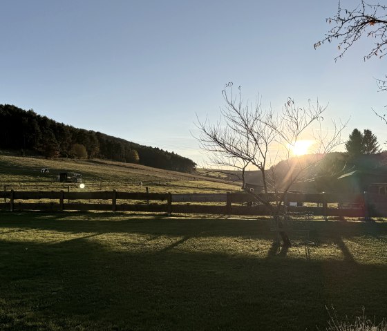 Der Garten