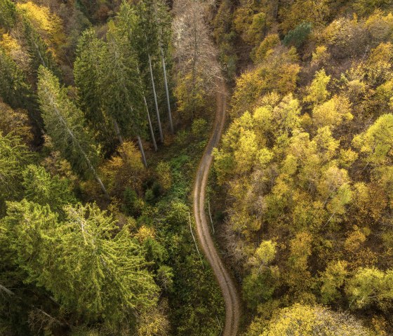 Hiking trail 75 - Püngelbach, © Eifel Tourismus GmbH, Dominik Ketz