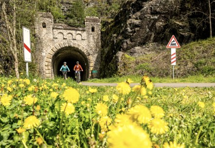 Enz-Radweg, ancien tunnel ferroviaire près de Neuerburg, © Eifel Tourismus GmbH, Dominik Ketz