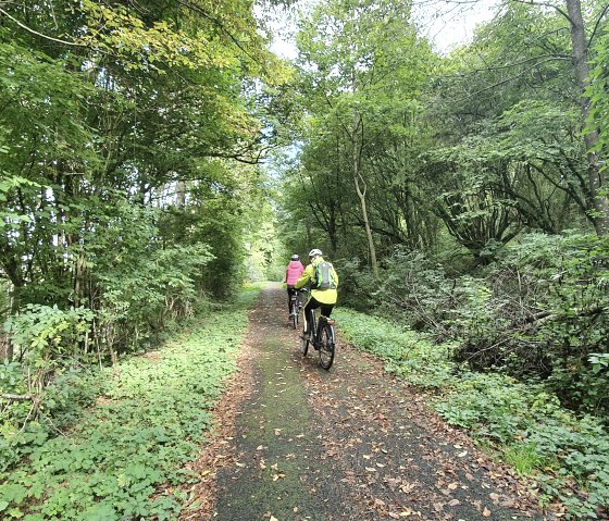 Deux cyclistes roulent sur un étroit chemin forestier bordé d'arbres dans la vallée de Nimstal-Prüm près d'Oberweis., © TI Bitburger Land, Steffi Wagner