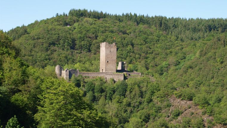 An old castle stands on a hill, surrounded by green forests. The clear sky makes the scenery look particularly inviting.