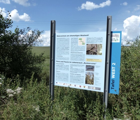 Panneau sur le sentier de randonnée du Westwall (ouest), © Tourist-Info Islek