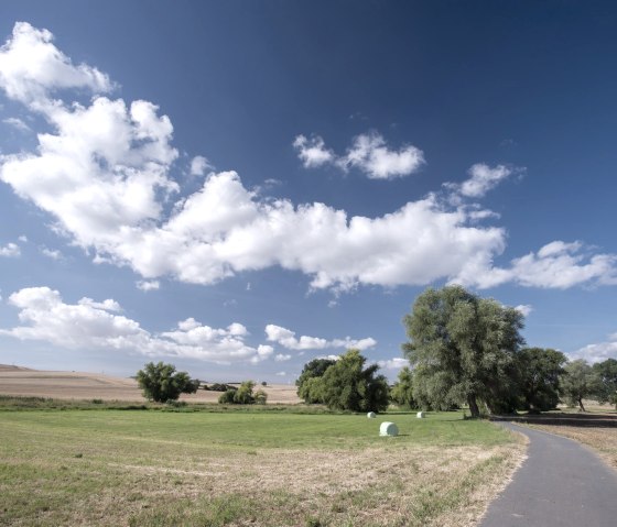 Piste cyclable, © Vulkanregion / Kappest