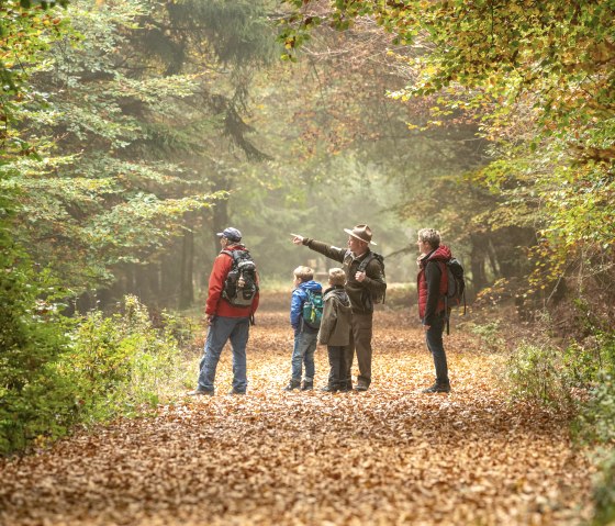 En route avec le Ranger dans le Kermeter, © Nationalpark Eifel, Dominik Ketz