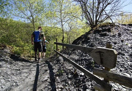De la carrière d'ardoise en direction de l'Elzbach, © Laura Rinneburger