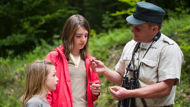 Ein Förster zeigt zwei Kindern Pflanzen im Wald.