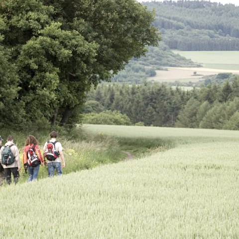 kuerrenberg-kh-1, © Stadt Mayen