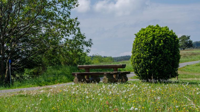 Eine Wiese mit einem Rastplatz an einem Wanderweg