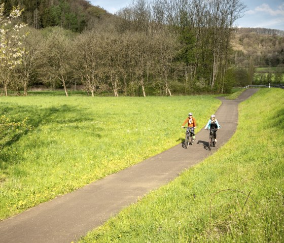 Tour à vélo à travers la nature sur la piste cyclable de l'Enz, © Eifel Tourismus GmbH, Dominik Ketz