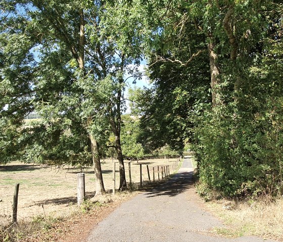 Een smal pad leidt door een groen landschap van bomen en weiden onder een blauwe hemel., © TI Bitburger Land - Steffi Wagner