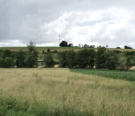 Groene velden en bomen in het Bitburger Gutland onder een bewolkte hemel. In de verte is een hoogspanningsmast zichtbaar.