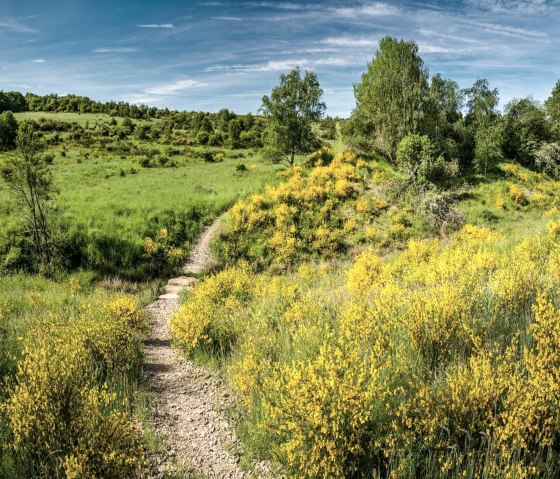 Dreiborn plateau, © Dominik Ketz & Nordeifel Tourismus GmbH
